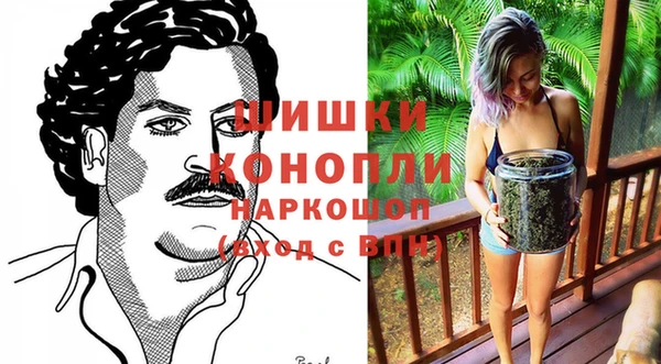 apvp Алексин