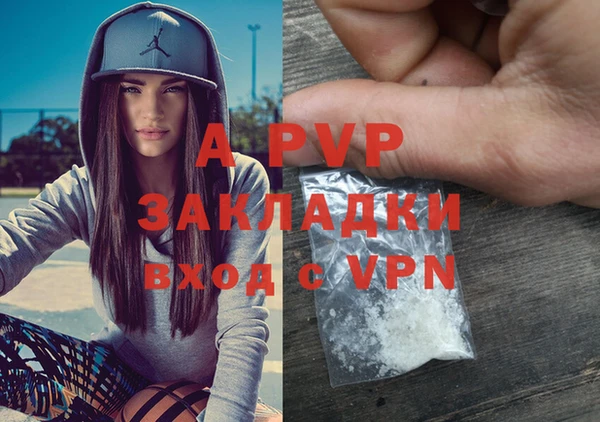 молекула духа Покров