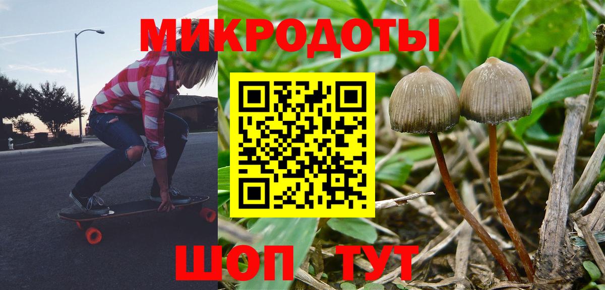 Галлюциногенные грибы Psilocybe Тосно